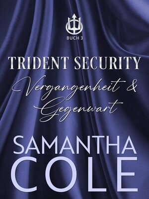 cover image of Trident Security
